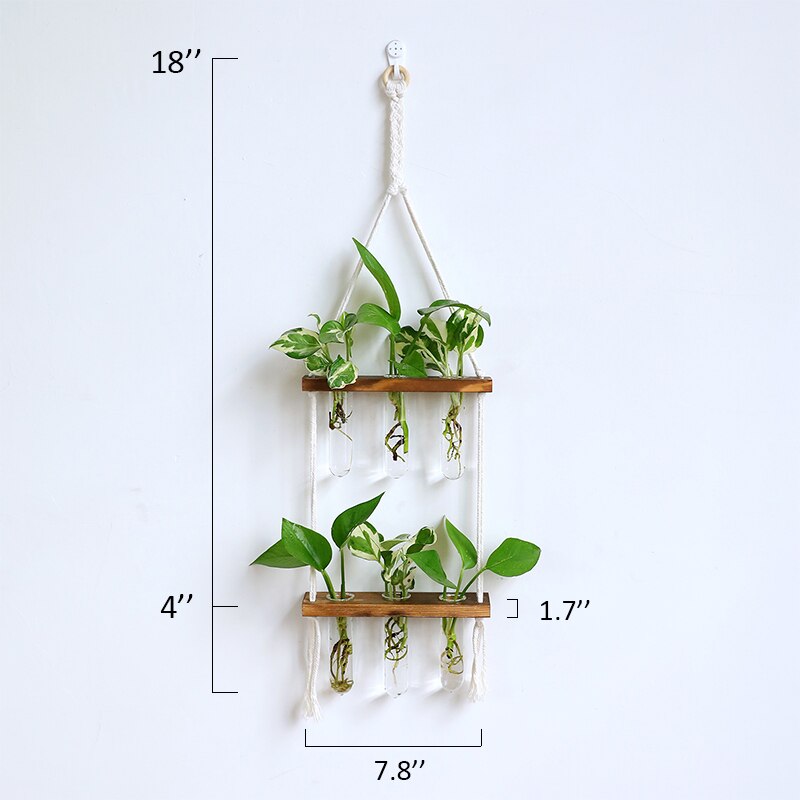 Creative Solid Wood Hydroponic Test Tube Glass Wall Hanging