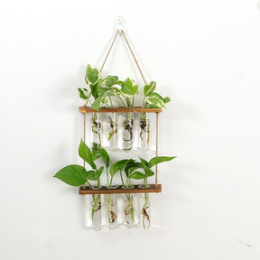 Creative Solid Wood Hydroponic Test Tube Glass Wall Hanging