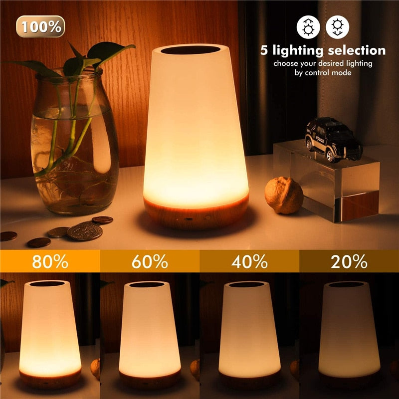 13 Color Changing Night Light