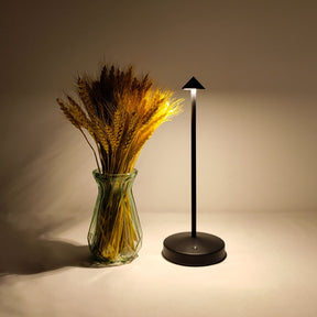 Modern Touch Cordless Led Table Lamp