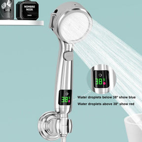 Temperature Display Shower Head